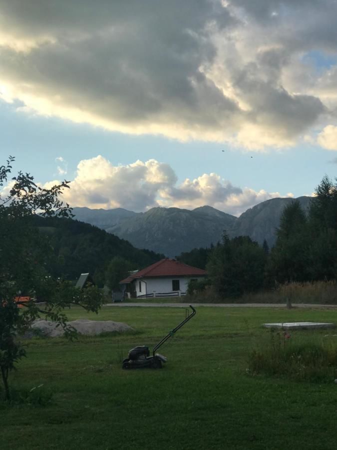 Апартаменты Vila Montenegrina Колашин