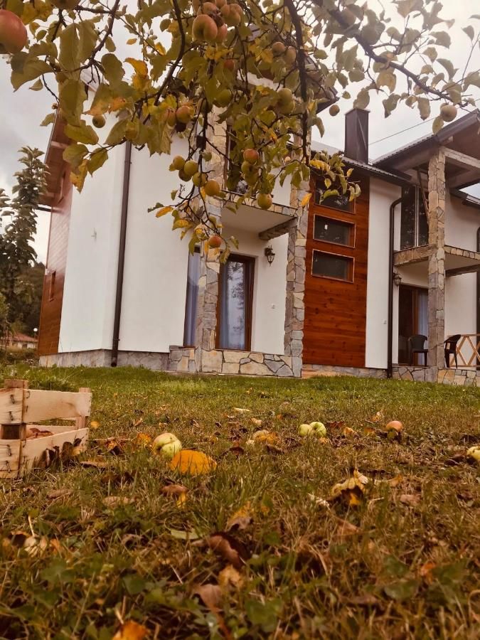 Апартаменты Vila Montenegrina Колашин-6