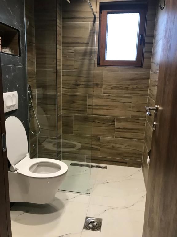 Апартаменты Vila Montenegrina Колашин