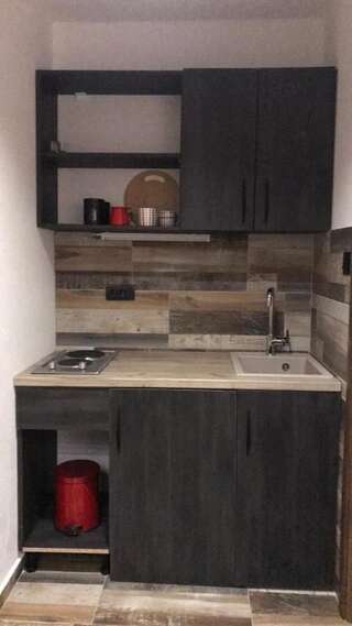 Апартаменты Vila Montenegrina Колашин Апартаменты с видом на горы-26