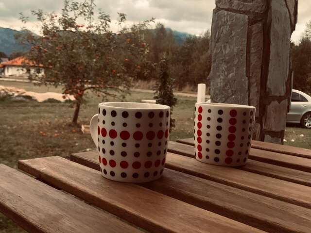 Апартаменты Vila Montenegrina Колашин-23