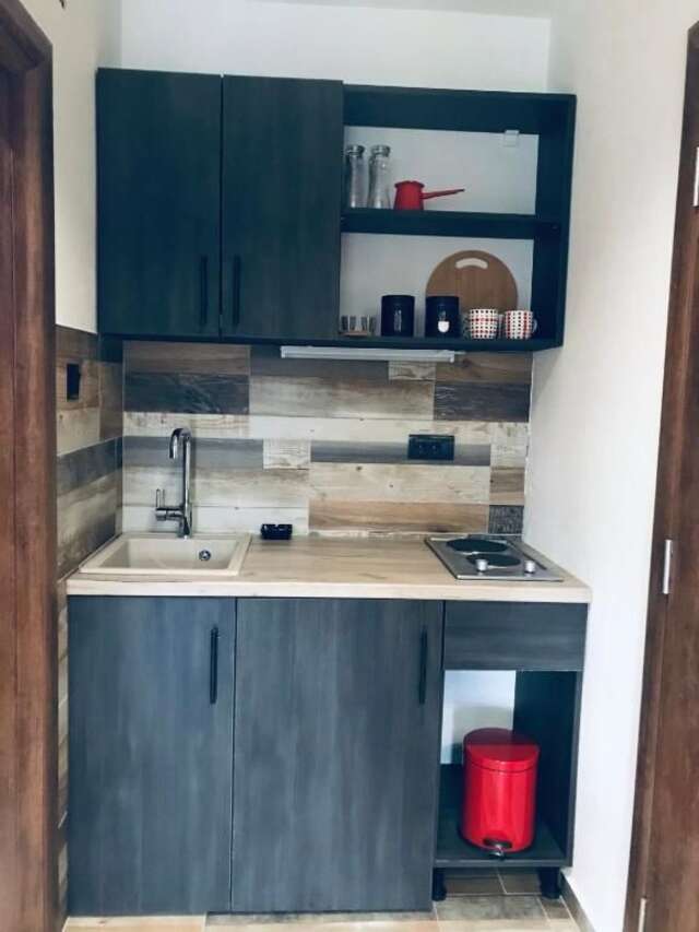 Апартаменты Vila Montenegrina Колашин-31